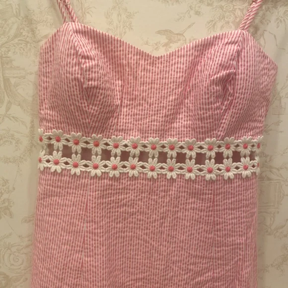 Lilly Pulitzer Dress - Picture 5 of 7
